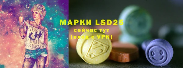 гашик Аркадак