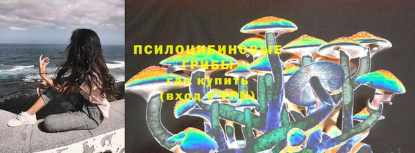 PSILOCYBIN Абдулино