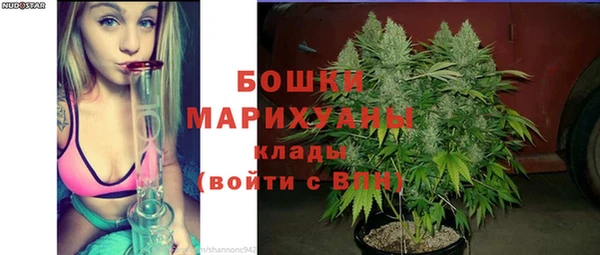 PSILOCYBIN Абдулино