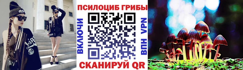 где можно купить наркотик  Кировград  нарко площадка как зайти  Псилоцибиновые грибы прущие грибы 